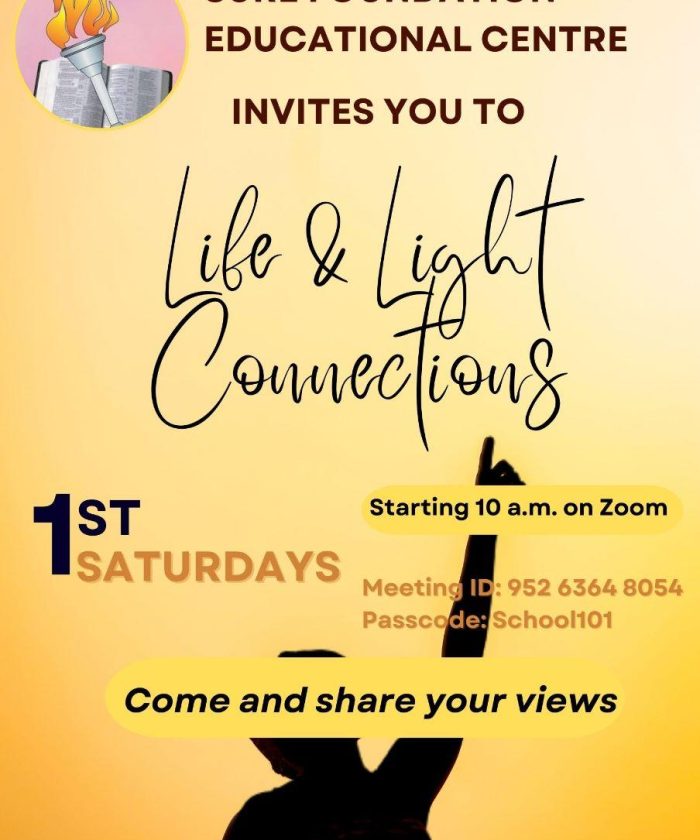 LLC Flyer